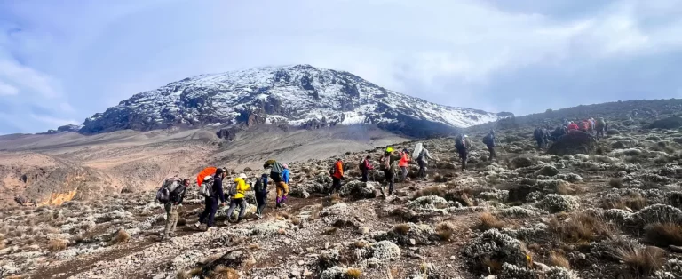 7-Day Kilimanjaro Trekking Via Machame Route + 2 Nights Hotel Stay